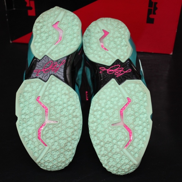 Nike LeBron James 11 South Beach 2014 616175-330